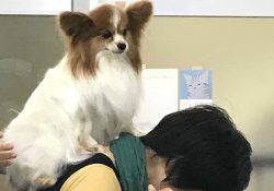 病院から帰ってきたピーチ。ちょっと元気。
