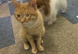 なんだか仲良しになったのでしょうか？