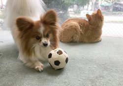 7/3 AM3:00〜つまり火曜日の早朝ですね。