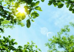 夏本番を元気に楽しもう！