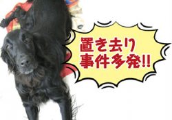 マザールーフ誕生物語　なぜ編集部がつくったのかVol.5後編