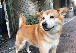 ボランティアさんに感謝です。