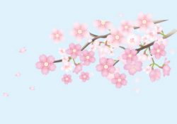 元気ライフサポート 生活をちょっと楽しくする話04