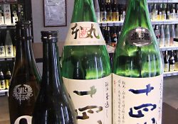 立ち飲みスタイルで楽しめる酒屋さん