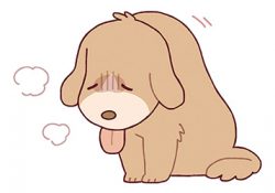 犬や猫の病気を知っておこう！