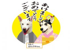 あけましておめでとうございます！