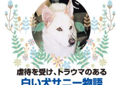 マザールーフ誕生物語　なぜ編集部がつくったのかVol.10前編