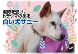 マザールーフ誕生物語　なぜ編集部がつくったのかVol.10後編