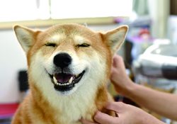 マザールーフ誕生物語　なぜ編集部がつくったのかVol.11前編